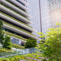 A Beginner's Guide to Green Building: How to Choose the Right Construction Services